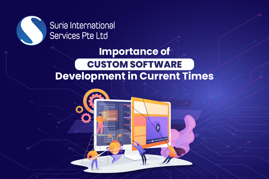 Importance of Custom Software Development in Current Times